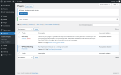 Page screenshot: Plugins ‹ Test site — WordPress