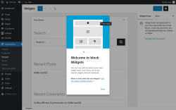 Page screenshot: Widgets ‹ Test site — WordPress