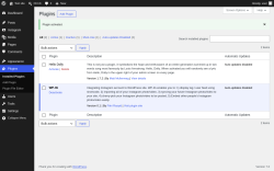 Page screenshot: Plugins &lsaquo; Test site &mdash; WordPress