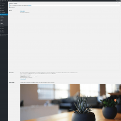 Page screenshot: Appearance &rarr; Header