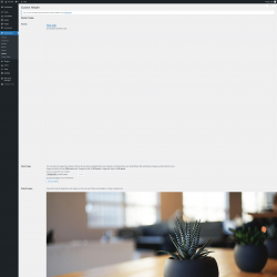 Page screenshot: Appearance &rarr; Header