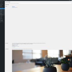 Page screenshot: Appearance &rarr; Header