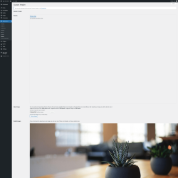 Page screenshot: Appearance &rarr; Header