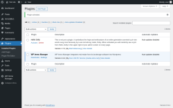 Page screenshot: Plugins &lsaquo; Test site &mdash; WordPress