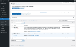 Page screenshot: Plugins &lsaquo; Test site &mdash; WordPress