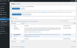 Page screenshot: Plugins &lsaquo; Test site &mdash; WordPress
