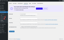 Page screenshot: Job Manager &rarr; Settings &rarr; reCAPTCHA