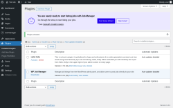 Page screenshot: Plugins &lsaquo; Test site &mdash; WordPress