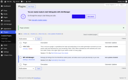 Page screenshot: Plugins &lsaquo; Test site &mdash; WordPress