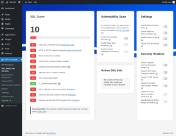 Page screenshot: WP Encryption &rarr; SSL Health and Security 