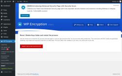 Page screenshot: WP Encryption → RESET