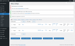 Page screenshot: eBay