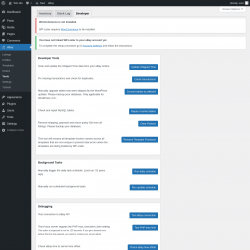 Page screenshot: eBay &rarr; Tools &rarr; Developer
