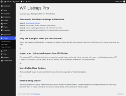 Page screenshot: Welcome to WP Listings Pro &lsaquo; Test site &mdash; WordPress