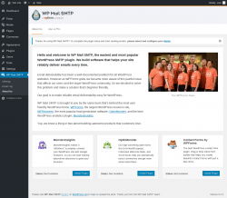 Page screenshot: WP Mail SMTP &rarr; About Us