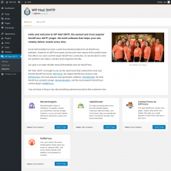 Page screenshot: WP Mail SMTP &rarr; About Us