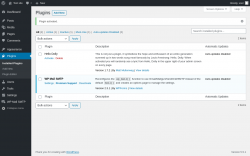 Page screenshot: Plugins &lsaquo; Test site &mdash; WordPress