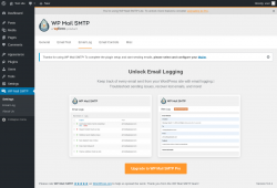 Page screenshot: WP Mail SMTP &rarr; Email Log