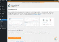 Page screenshot: WP Mail SMTP &rarr; Email Reports