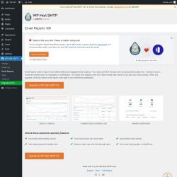 Page screenshot: WP Mail SMTP &rarr; Email Reports