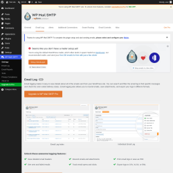 Page screenshot: WP Mail SMTP &rarr; Email Log