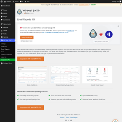 Page screenshot: WP Mail SMTP &rarr; Email Reports