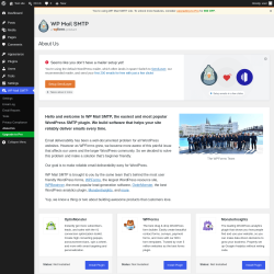 Page screenshot: WP Mail SMTP &rarr; About Us