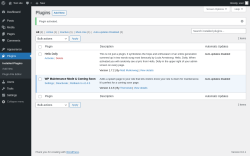 Page screenshot: Plugins &lsaquo; Test site &mdash; WordPress