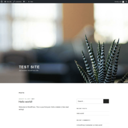 Page screenshot: Test site – Just another WordPress site