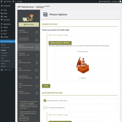 Page screenshot: WP Maintenance → Pictures