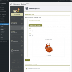 Page screenshot: WP Maintenance → Pictures