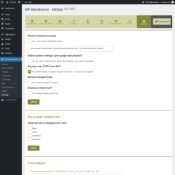 Page screenshot: WP Maintenance &rarr; Settings