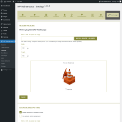 Page screenshot: WP Maintenance → Pictures