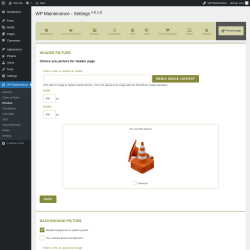 Page screenshot: WP Maintenance &rarr; Pictures