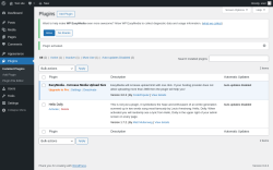 Page screenshot: Plugins ‹ Test site — WordPress