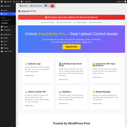 Page screenshot: Media &rarr; EasyMedia &rarr; 
                                                    
                                                Pro PRO                    