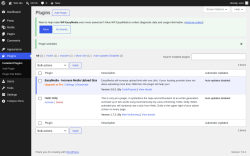 Page screenshot: Plugins &lsaquo; Test site &mdash; WordPress