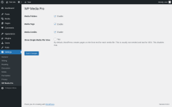 Page screenshot: Settings → WP Media Pro