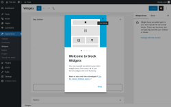 Page screenshot: Widgets ‹ Test site — WordPress