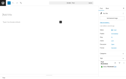 Page screenshot: Add Post ‹ Test site — WordPress