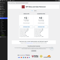 Page screenshot: Settings &rarr; Upgrade&nbsp;&nbsp;➤