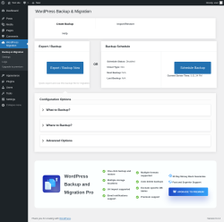 Page screenshot: WordPress Migration