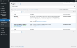 Page screenshot: Plugins ‹ Test site — WordPress