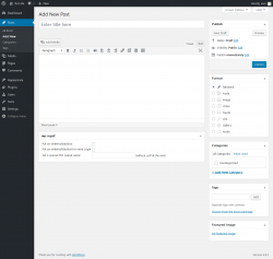 Page screenshot: Add New Post ‹ Test site — WordPress