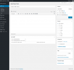 Page screenshot: Add New Post ‹ Test site — WordPress