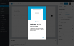 Page screenshot: Add New Post ‹ Test site — WordPress