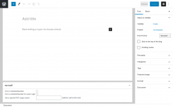 Page screenshot: Add New Post ‹ Test site — WordPress