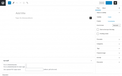 Page screenshot: Add New Post ‹ Test site — WordPress