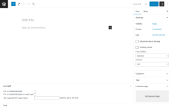Page screenshot: Add New Post ‹ Test site — WordPress