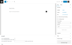 Page screenshot: Add New Post ‹ Test site — WordPress